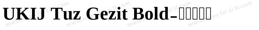UKIJ Tuz Gezit Bold字体转换